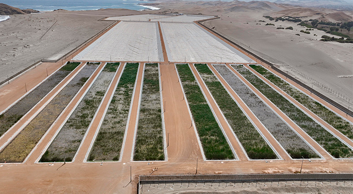 Impulsan modelo sostenible en agua y saneamiento con II Foro de Economía Circular